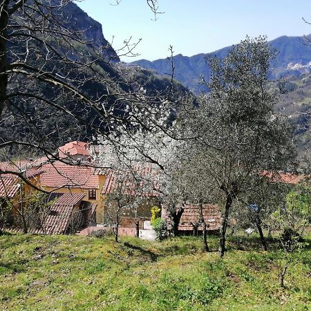 Il Metato Di Gallena Bed and Breakfast Stazzema Exterior foto