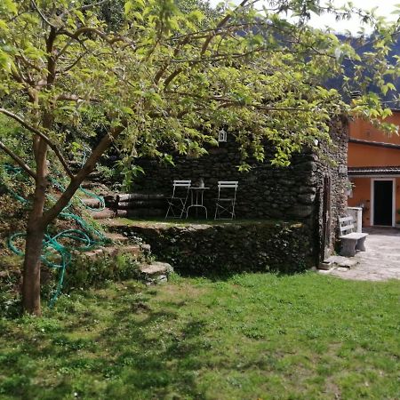 Il Metato Di Gallena Bed and Breakfast Stazzema Exterior foto