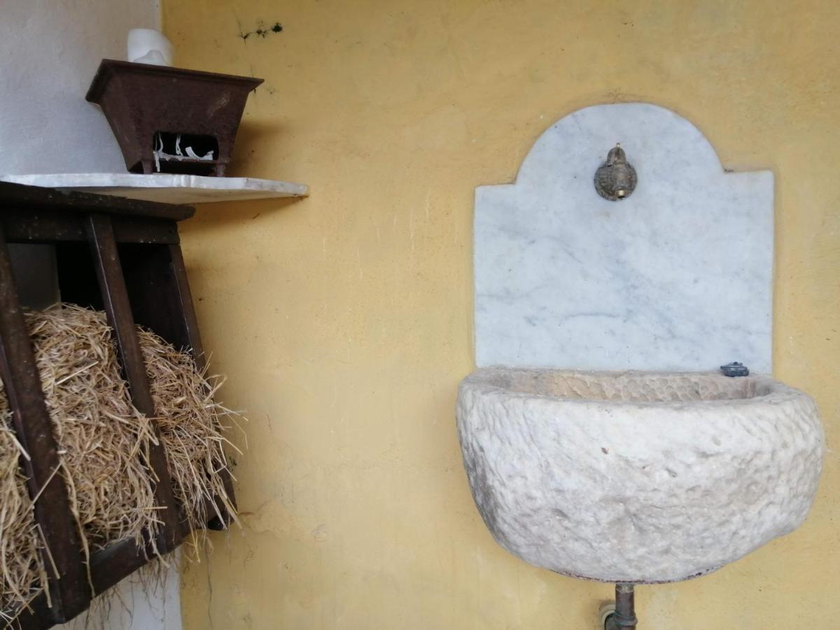 Il Metato Di Gallena Bed and Breakfast Stazzema Exterior foto