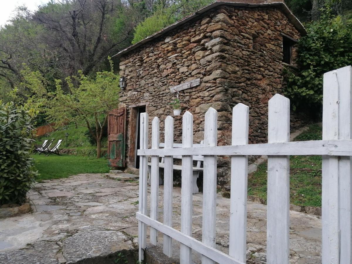 Il Metato Di Gallena Bed and Breakfast Stazzema Exterior foto
